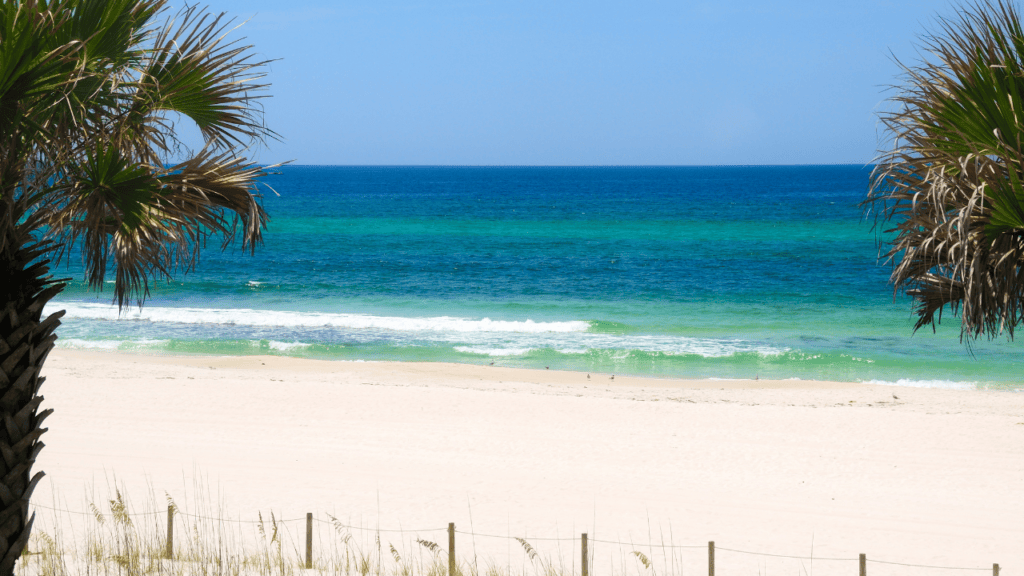 Palm-framed white sand beach with turquoise water and a wooden dune fence