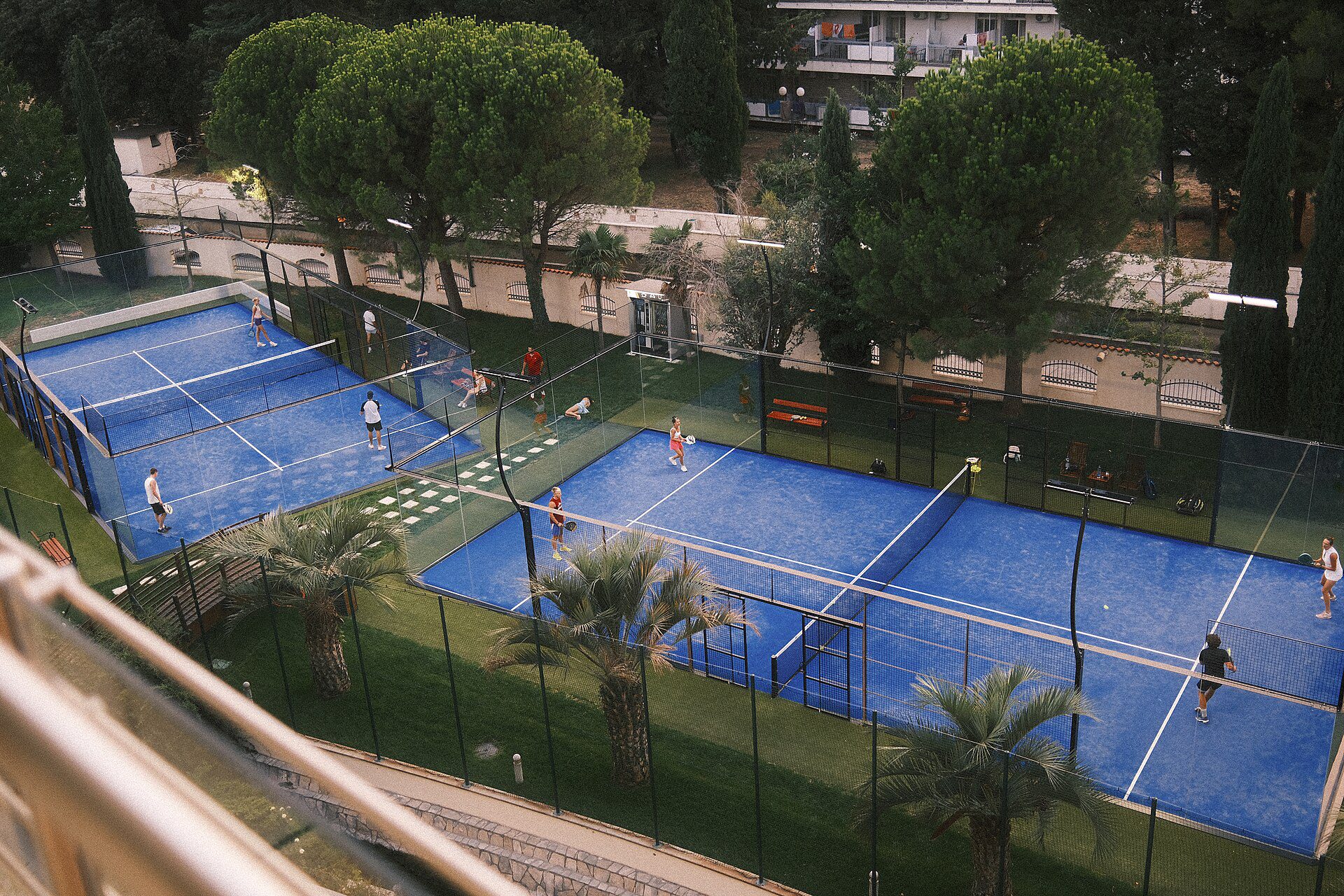 An elevated view of an outdoor padel match with multiple players on a modern glass-walled court surrounded by lush tropical vegetation and palm trees