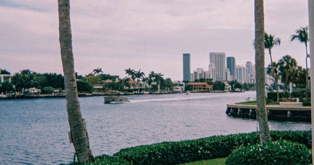 Palm trees and a waterfront lawn with the Miami skyline across the water